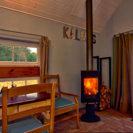 Pension Kalmus - Domek Z Sauna Smołdzino Zewnętrze zdjęcie